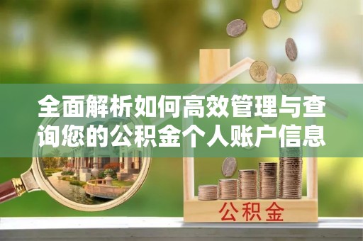 五常全面解析如何高效管理与查询您的公积金个人账户信息